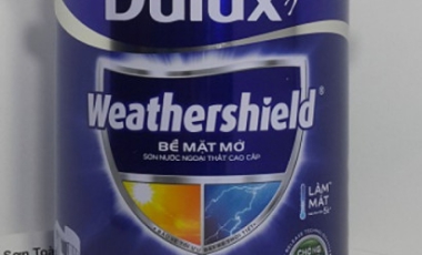 Hãy bắt đầu phát triển ngành sơn nước từ máy móc, công nghệ